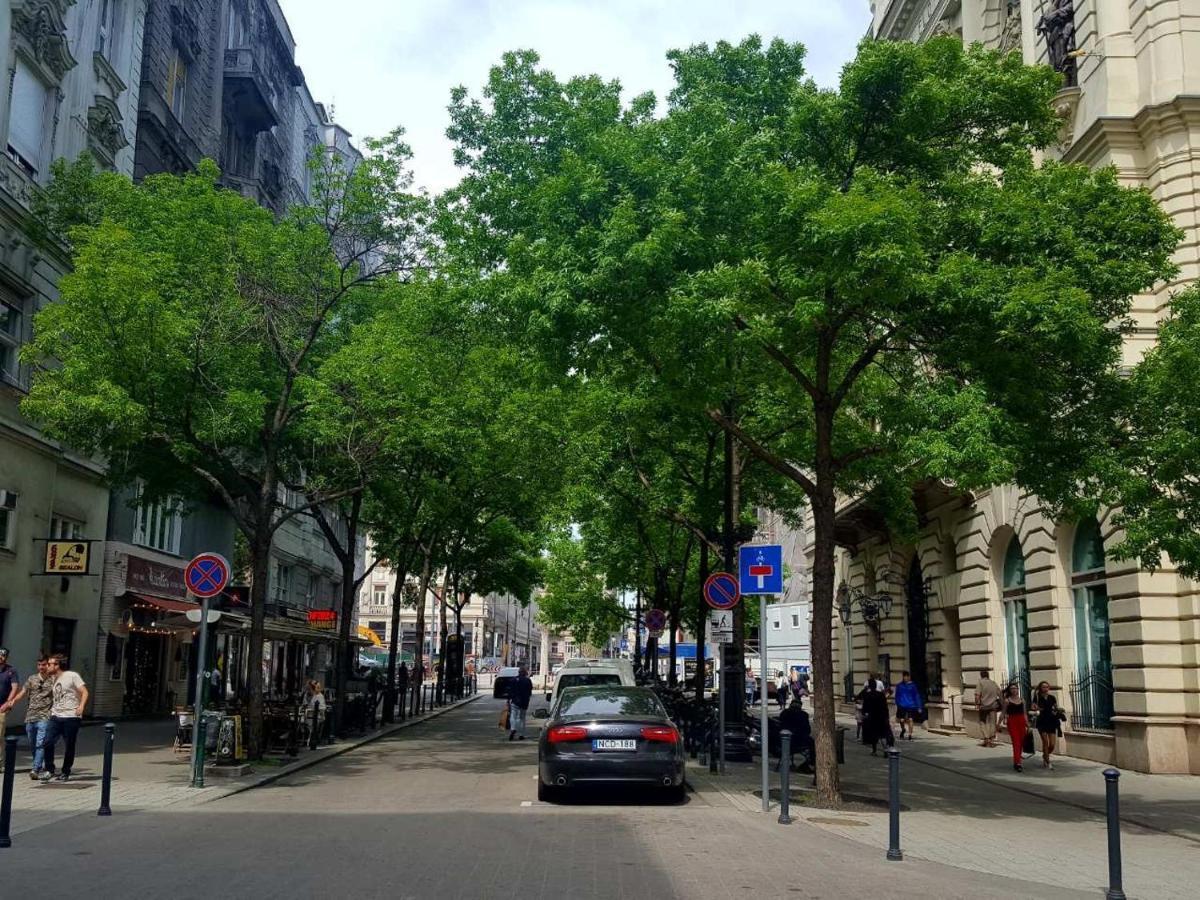 Like Studio City Centrum, Wifi, Terrace Budapest Exteriör bild