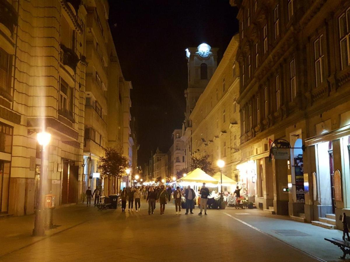Like Studio City Centrum, Wifi, Terrace Budapest Exteriör bild